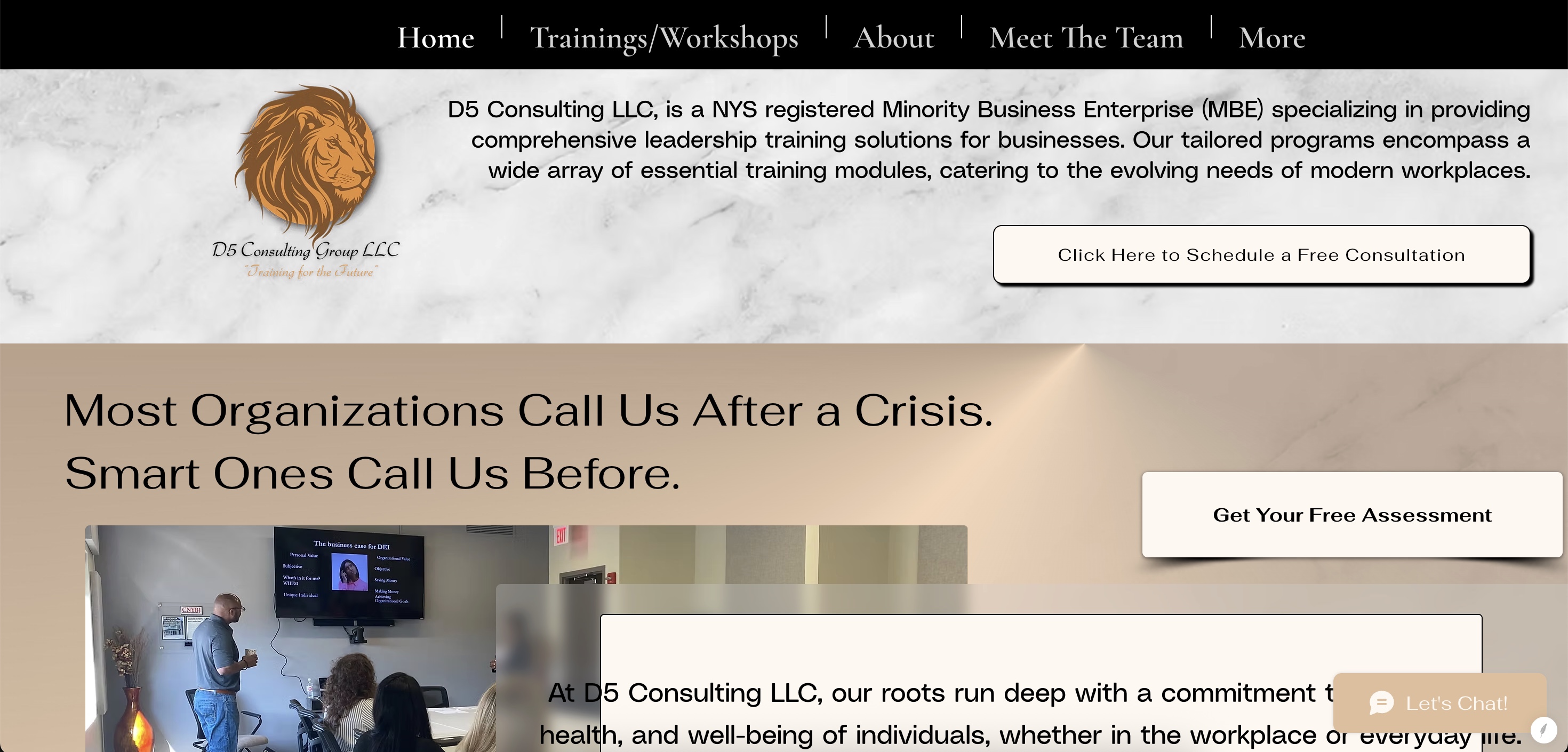 D5 website before revamp